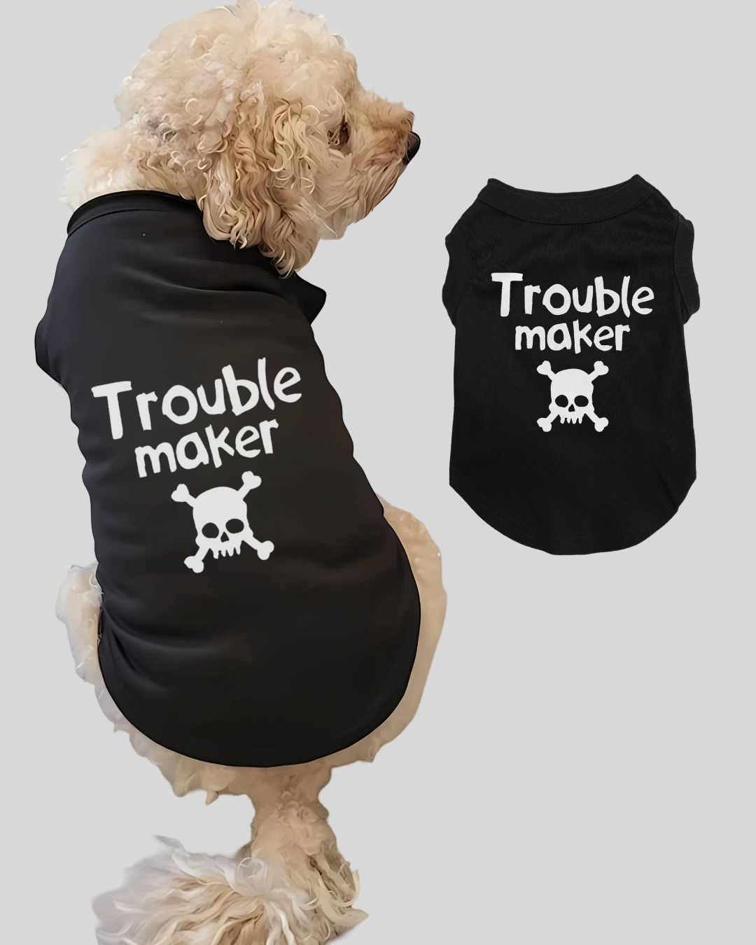 Dog Apparel New Collection
