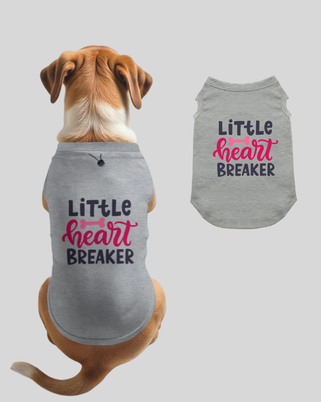 Dog Apparel New Collection